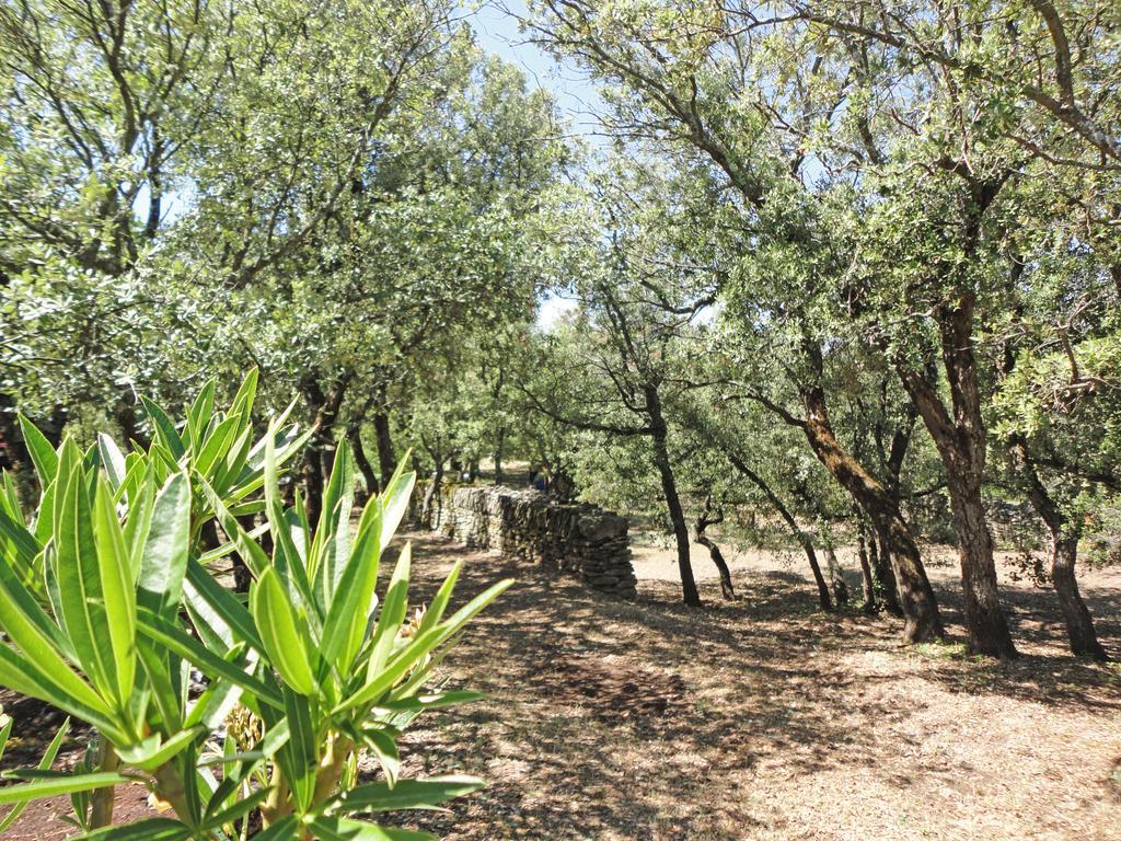 La Chênaie De Gordes Acomodação com café da manhã Exterior foto